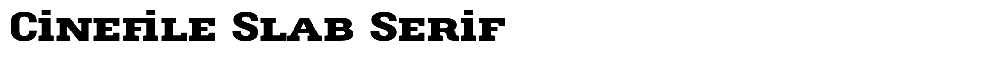 Cinefile Slab Serif image